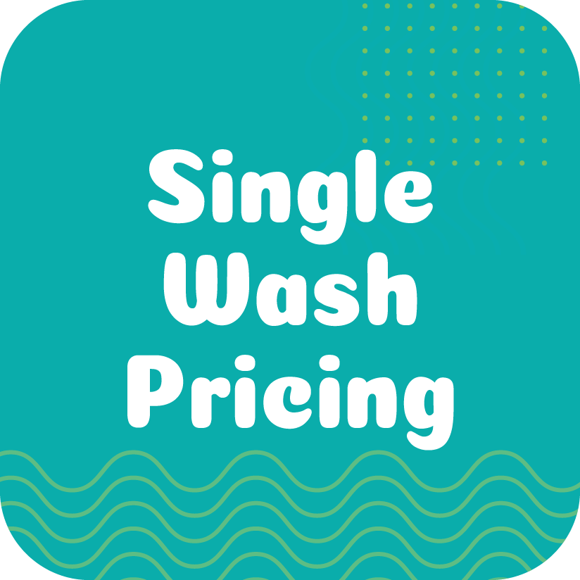 Single Wash Pricing