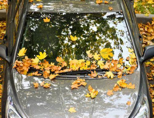 Seasonal Car Cleaning Tips + Why Now Is the Perfect Time